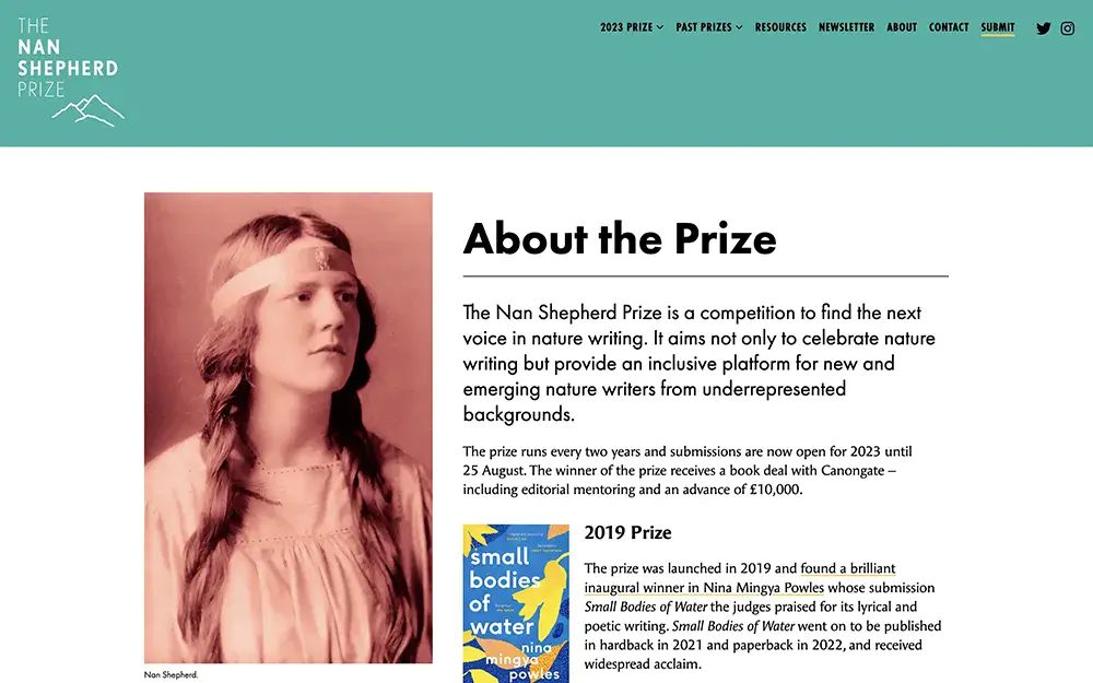Nan Prize Website screenshot