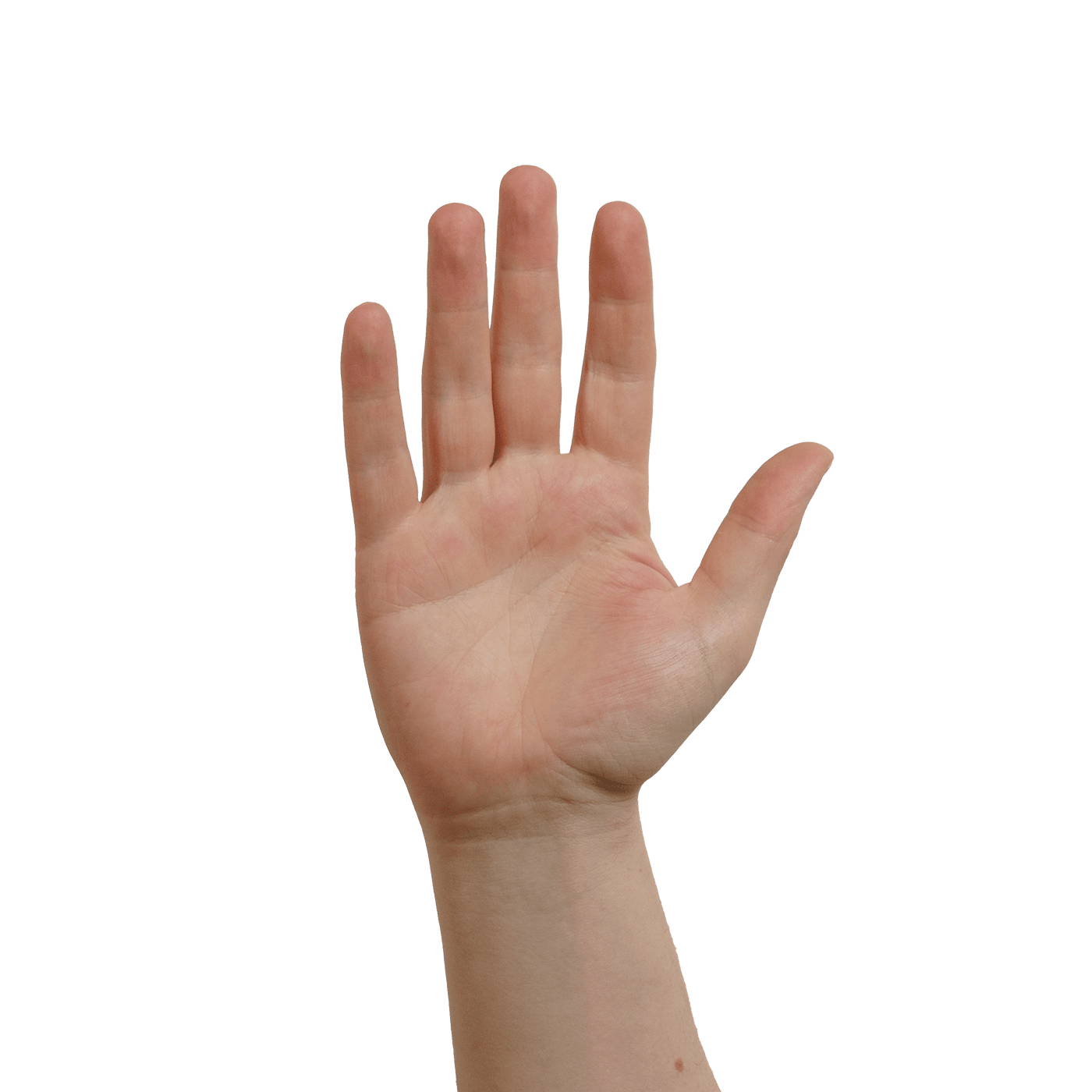 A hand waving hello.